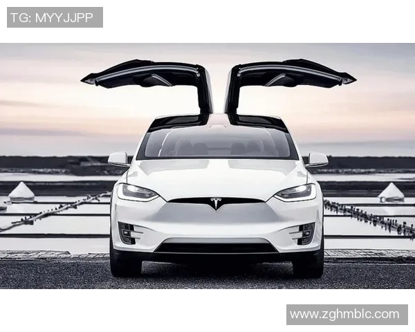 足球球星开特斯拉的价格揭秘 你想知道的都在这里